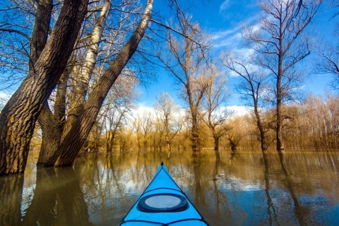 Trip in Slovakia Explore Danube wilderness on canoe